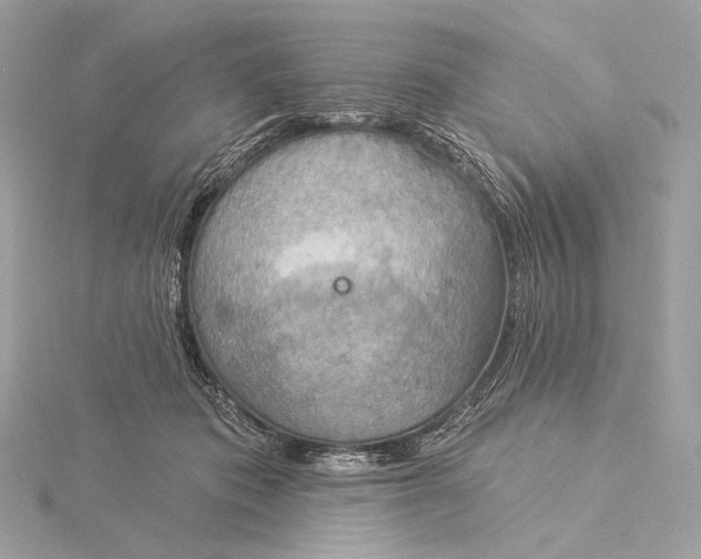 X0000115850413200912041733