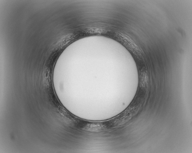 X0000115850414200912041733