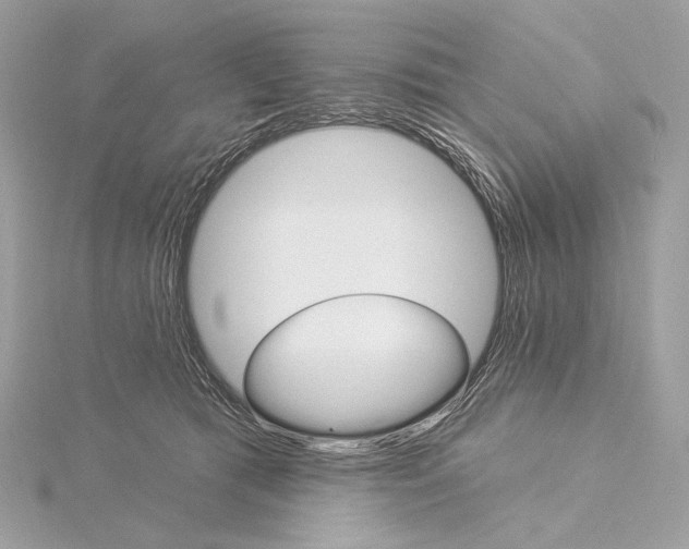 X0000115850417200912041733