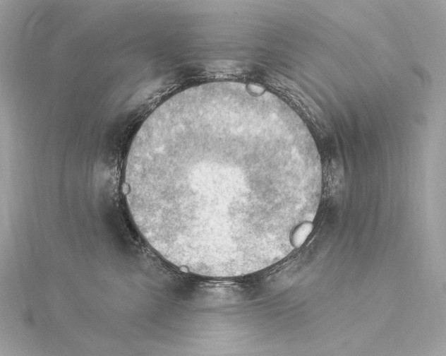 X0000115850427200912041733