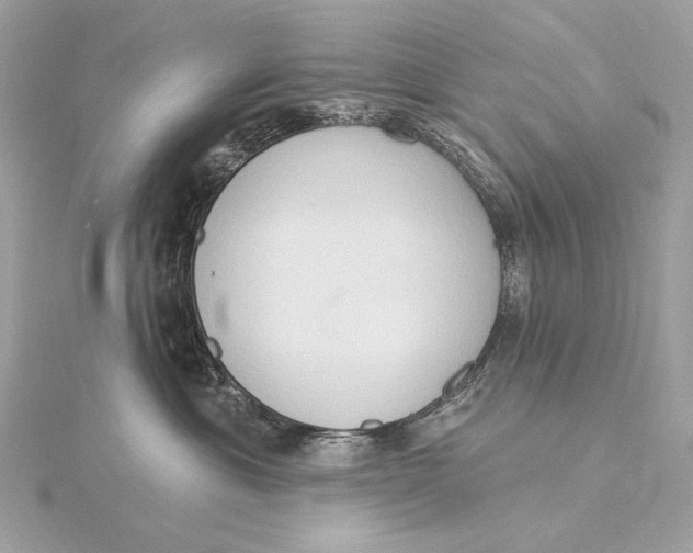 X0000115850429200912041733