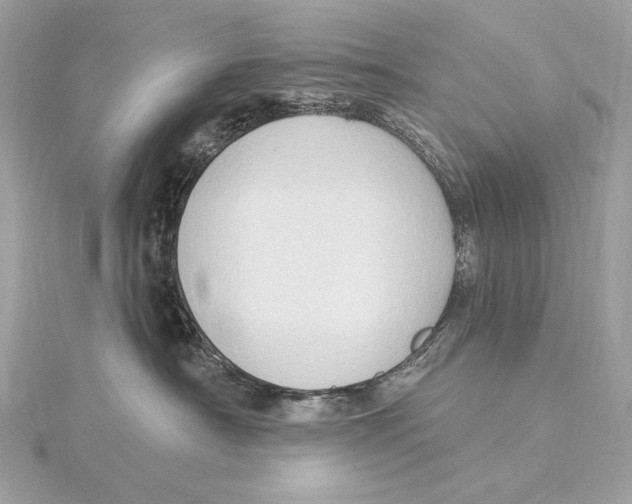 X0000115850430200912041733