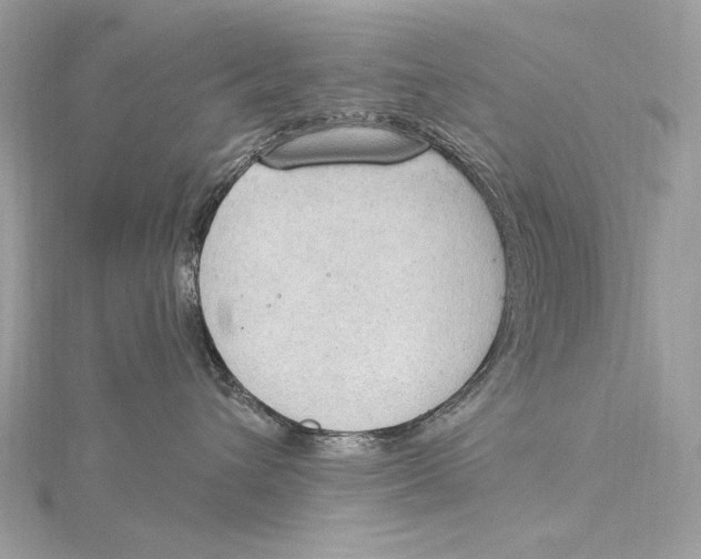 X0000115850432200912041733