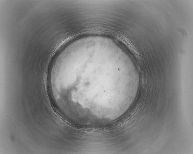 X0000115850434200912041732