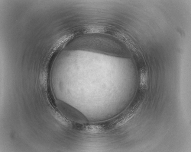 X0000115850444200912041732