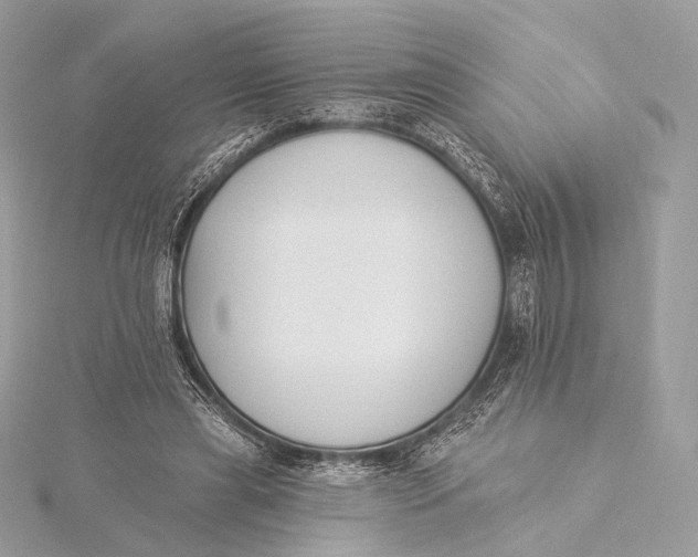 X0000115850445200912041732