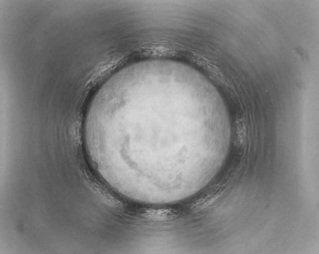 X0000115850450200912041732