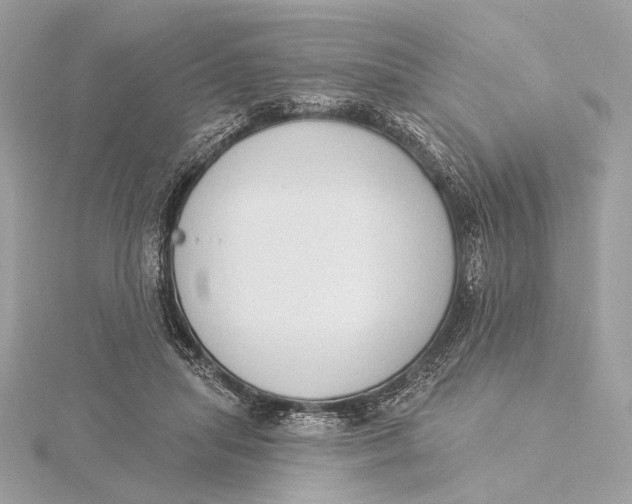 X0000115850455200912041732
