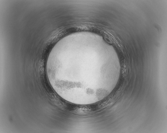 X0000115850466200912041733