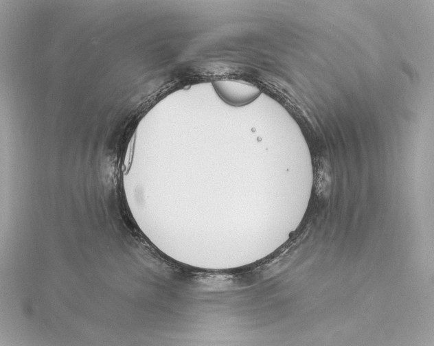 X0000115850476200912041733