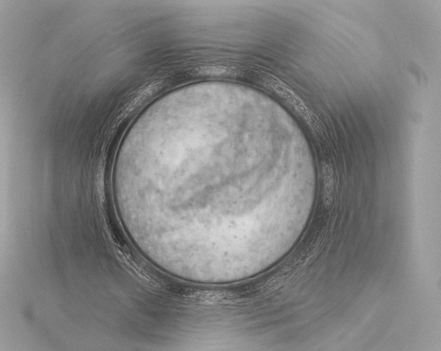 X0000115850482200912041732
