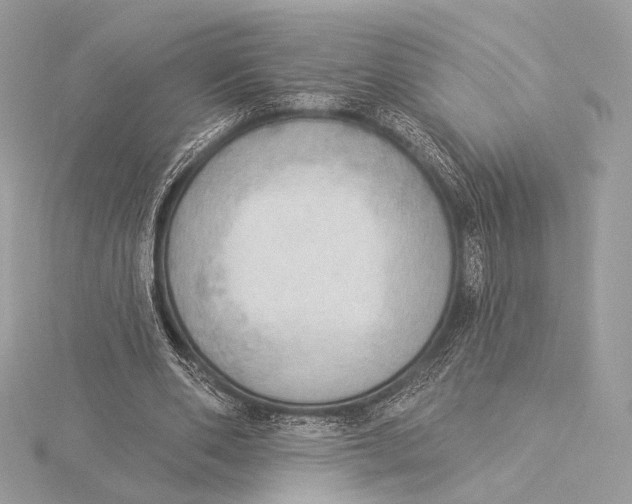 X0000115850486200912041732