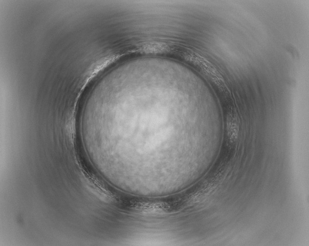X0000115850488200912041732