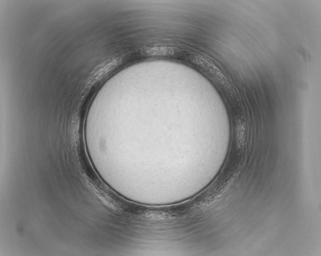 X0000115850490200912041732