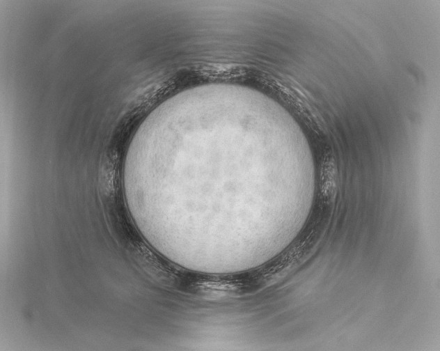 X0000115850515200912041732