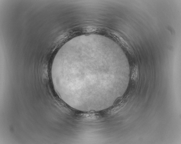 X0000115850524200912041732