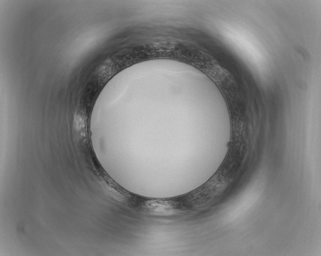 X0000115850526200912041731