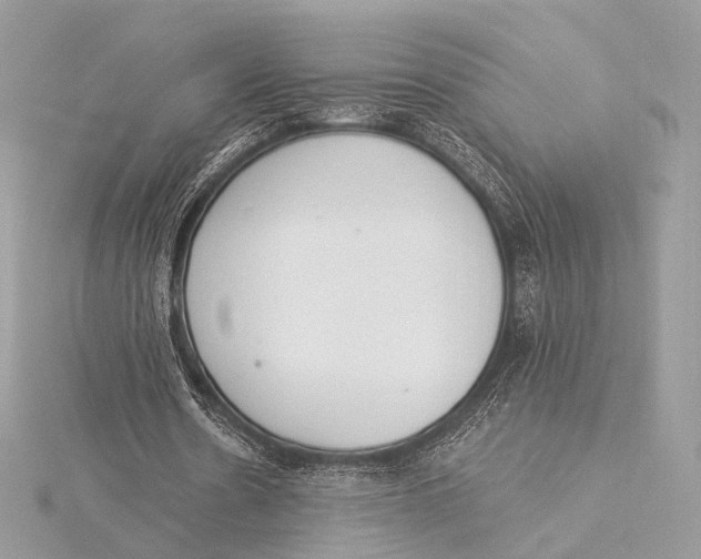 X0000115850530200912041731