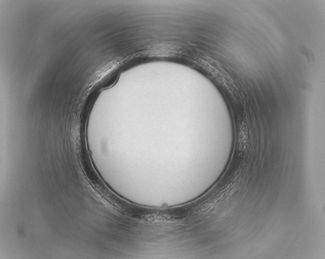 X0000115850535200912041731