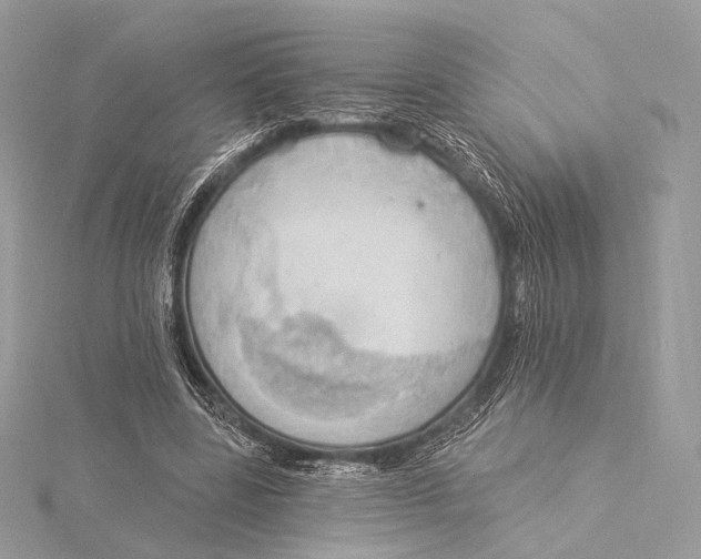 X0000115850539200912041731