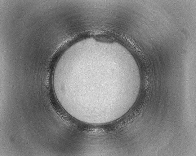 X0000115850543200912041731