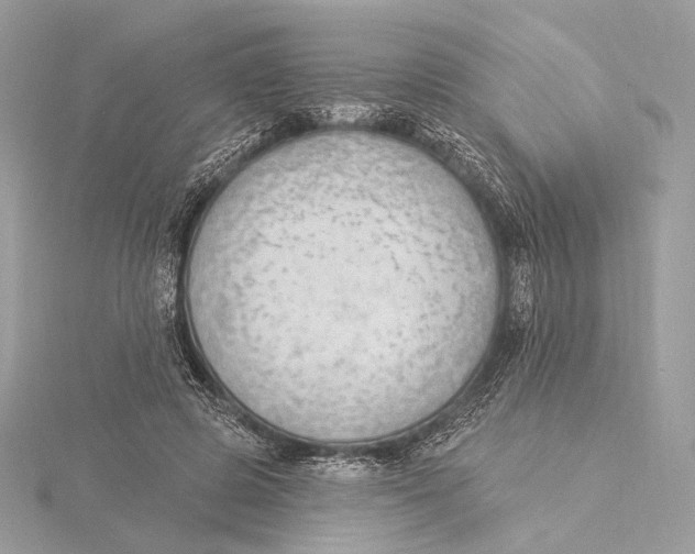 X0000115850545200912041731