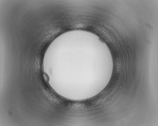 X0000115850546200912041731