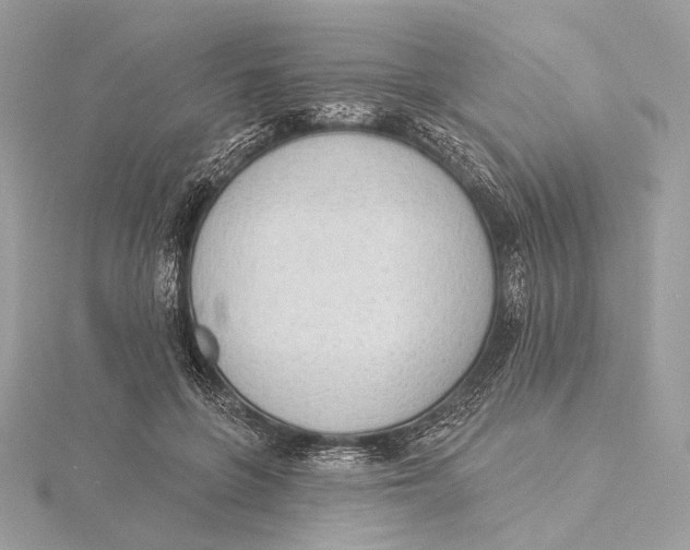 X0000115850551200912041731
