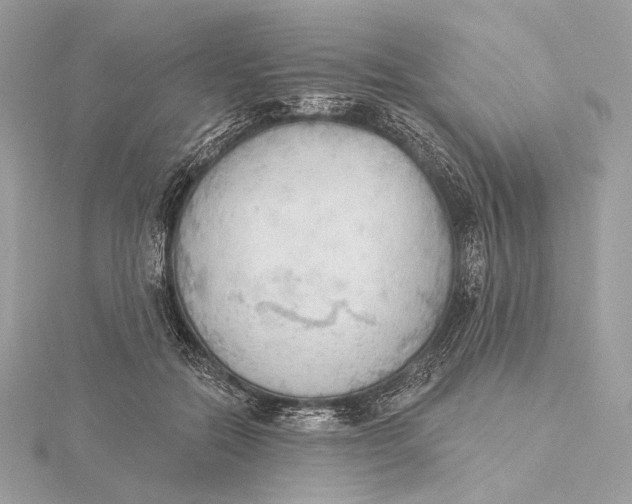 X0000115850554200912041731