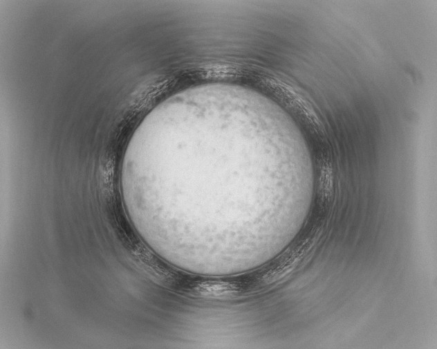 X0000115850557200912041731