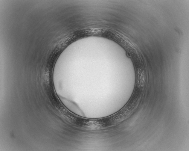 X0000115850562200912041731