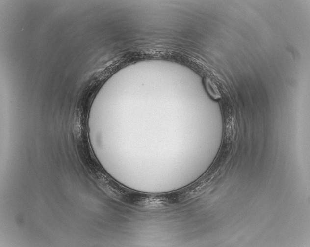X0000115850566200912041731