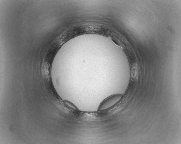 X0000115850573200912041731