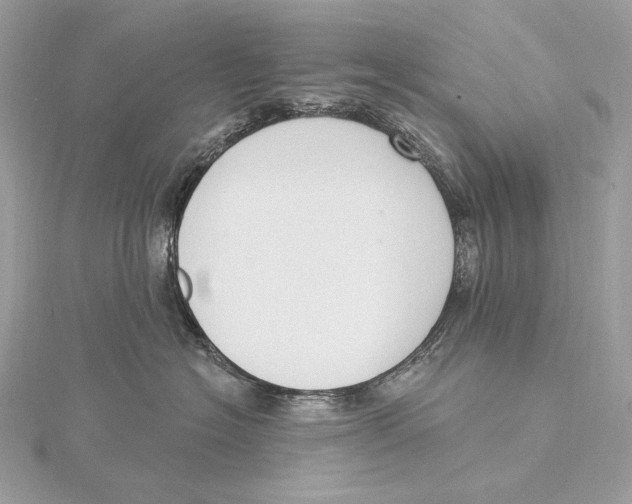 X0000115850574200912041731