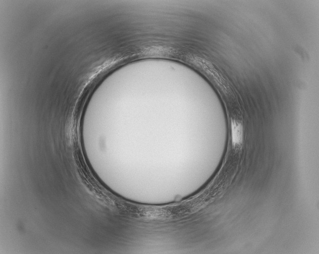 X0000115850579200912041731