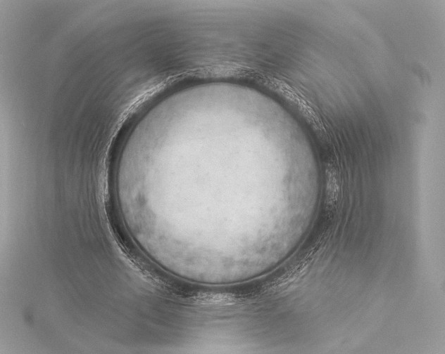 X0000115850582200912041731