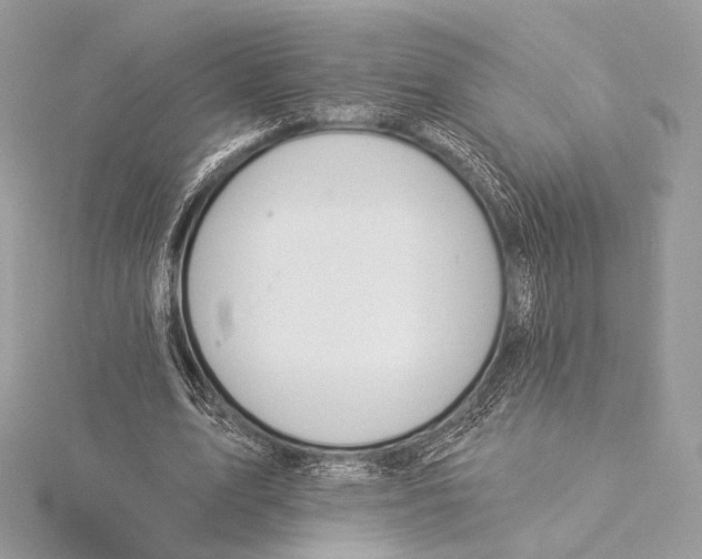 X0000115850583200912041731