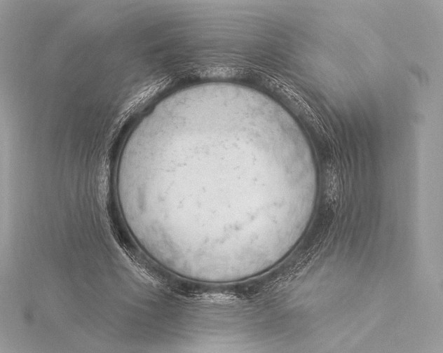X0000115850586200912041731