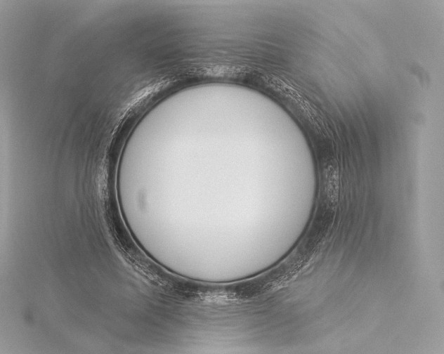 X0000115850587200912041731