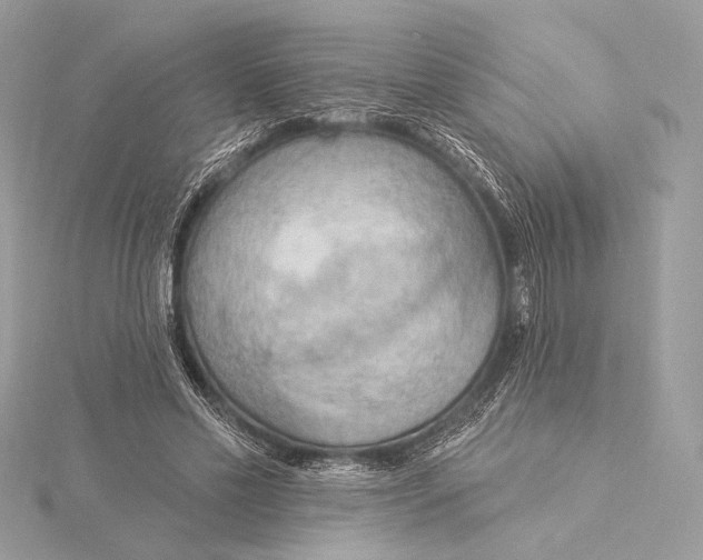 X0000115850589200912041731