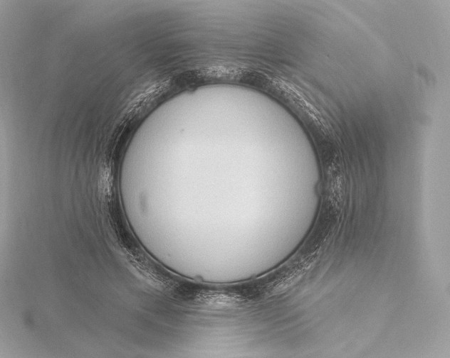 X0000115850597200912041731