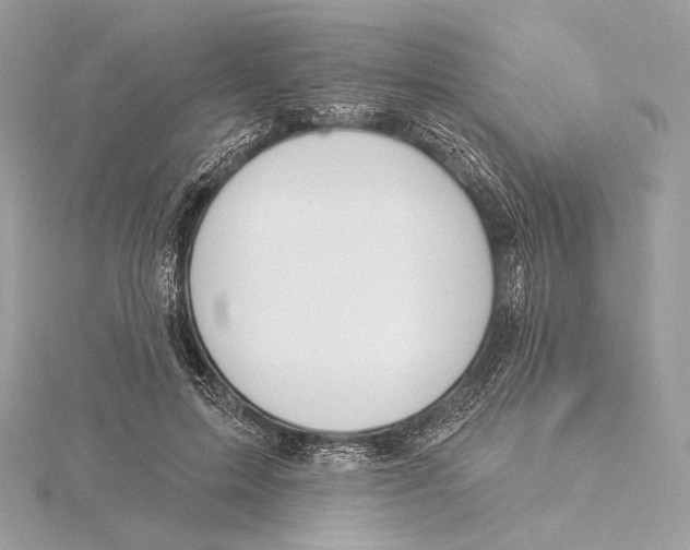 X0000115850599200912041731