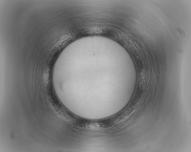 X0000115850600200912041731