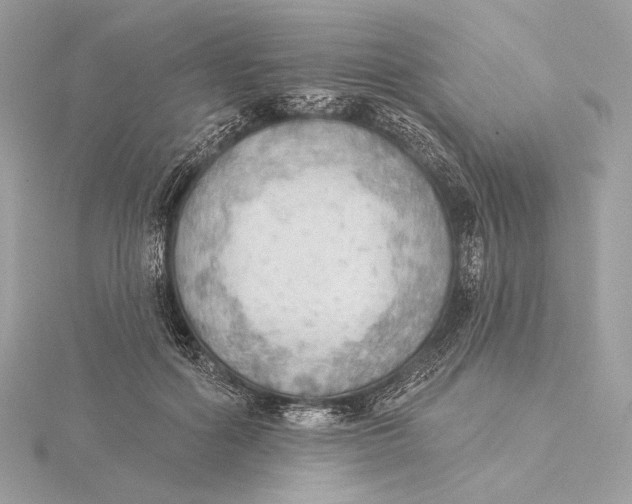 X0000115850602200912041731