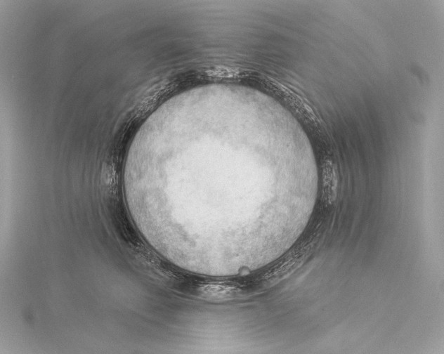 X0000115850614200912041730