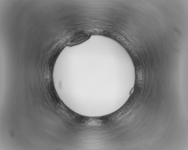 X0000115850617200912041730