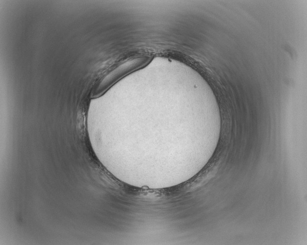 X0000115850624200912041730