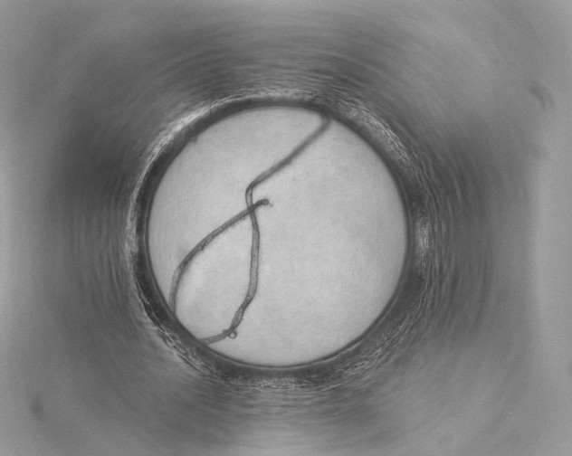 X0000115850628200912041729