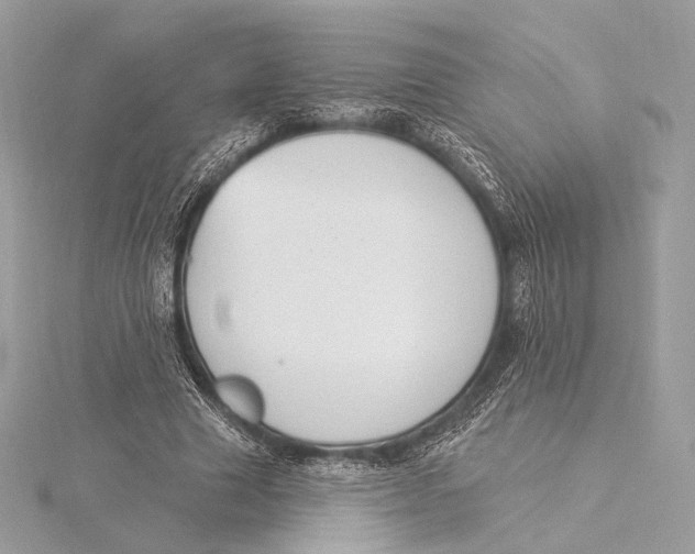 X0000115850633200912041730