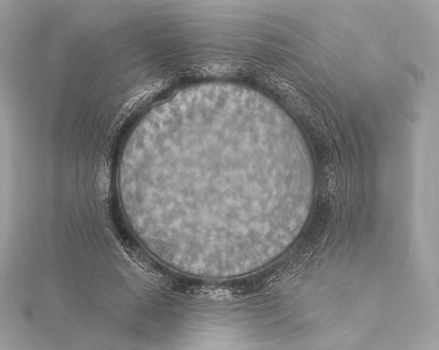 X0000115850640200912041730